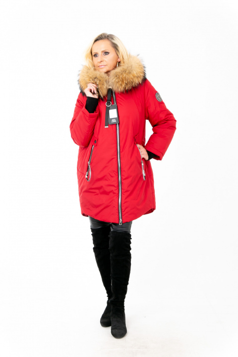 ELEGANCKI PŁASZCZ KURTKA ZIMOWA PIĘKNY NATURALNY JENOT PLUS SIZE (DUŻE ROZMIARY) ELEGANCKI PŁASZCZ KURTKA ZIMOWA PIĘKNY NATURALNY JENOT PLUS SIZE (DUŻE ROZMIARY)