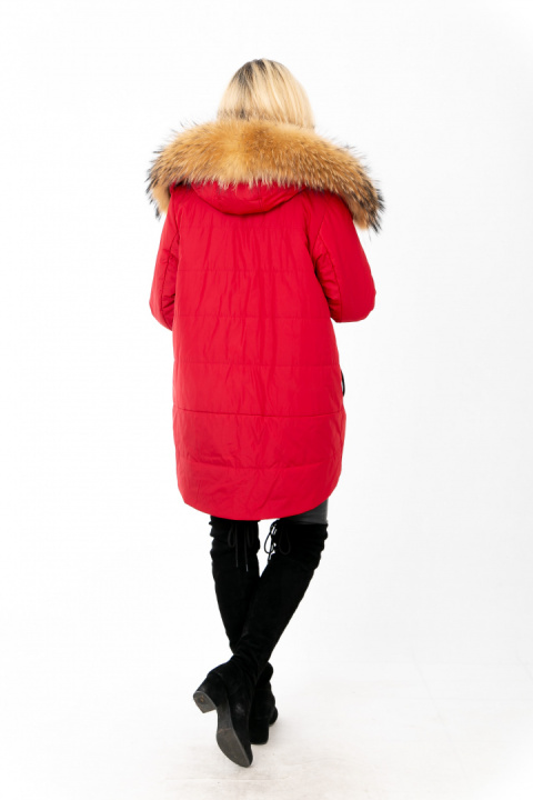 ELEGANCKI PŁASZCZ KURTKA ZIMOWA PIĘKNY NATURALNY JENOT PLUS SIZE (DUŻE ROZMIARY) ELEGANCKI PŁASZCZ KURTKA ZIMOWA PIĘKNY NATURALNY JENOT PLUS SIZE (DUŻE ROZMIARY)
